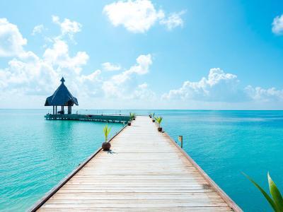 Hotel Canareef Resort Maldives - Bild 3