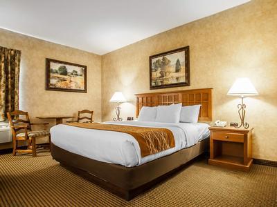 Hotel Comfort Inn & Suites Macon - Bild 4