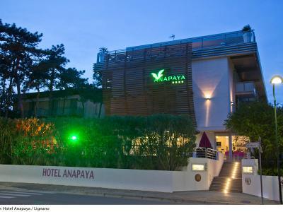 Hotel Anapaya - Bild 4