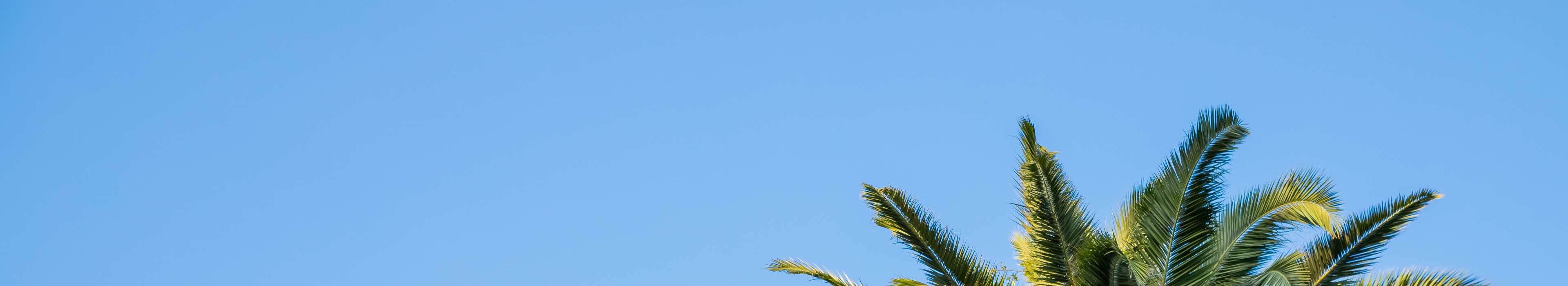 Frühbucher Vorteile sichern