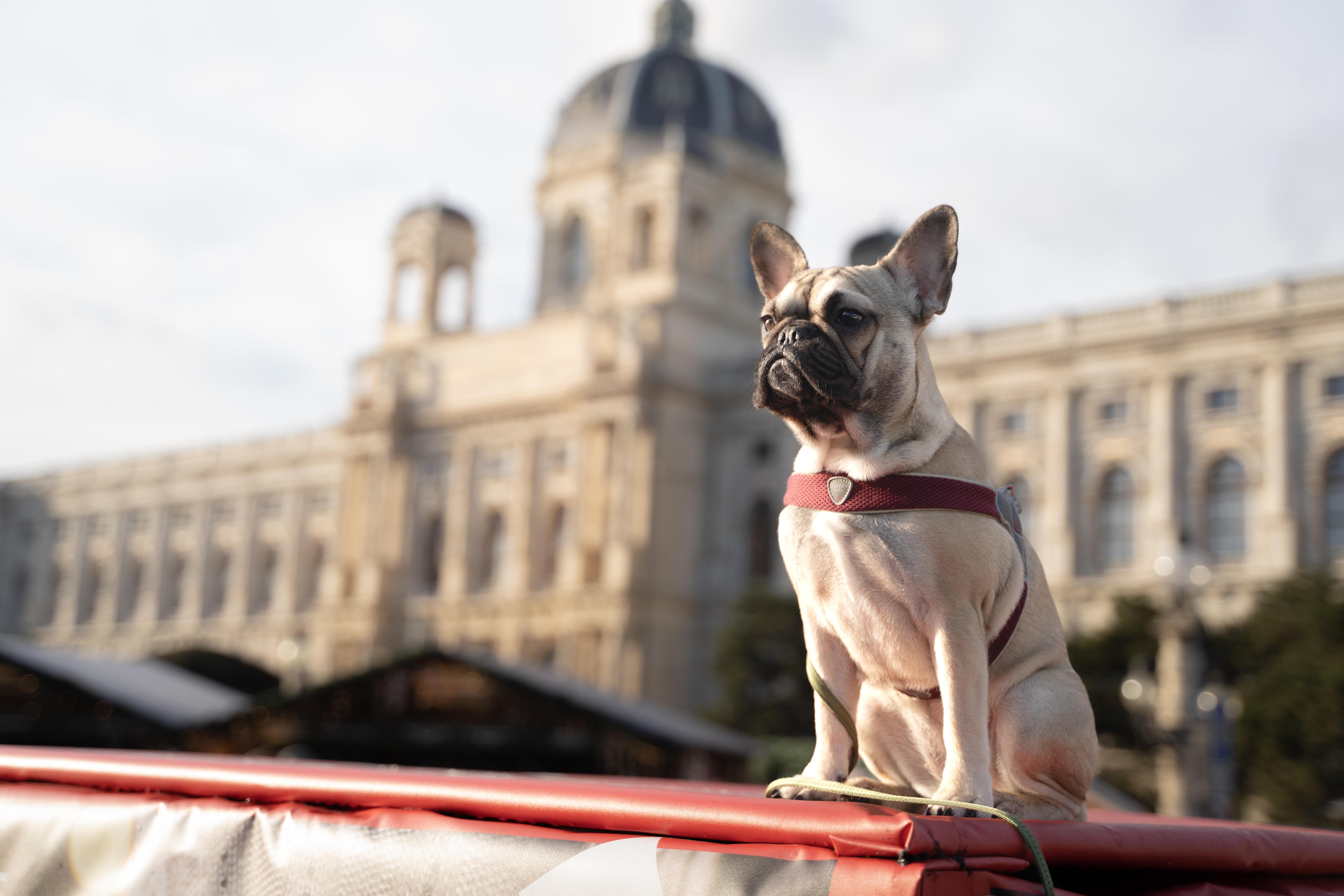 Wien