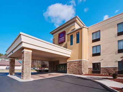 Hotel Comfort Suites Salem-Roanoke I-81 - Bild 2