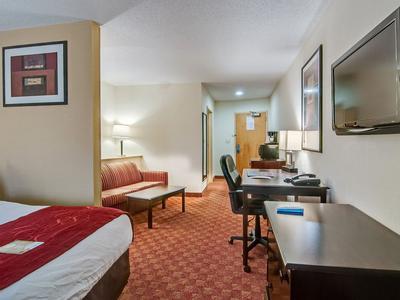 Hotel Comfort Suites Salem-Roanoke I-81 - Bild 5
