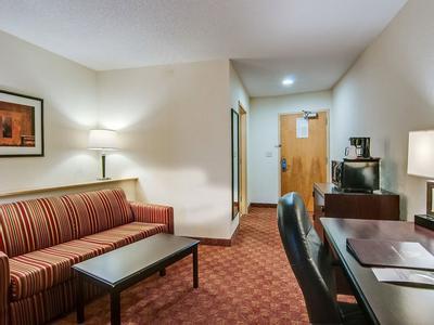 Hotel Comfort Suites Salem-Roanoke I-81 - Bild 4