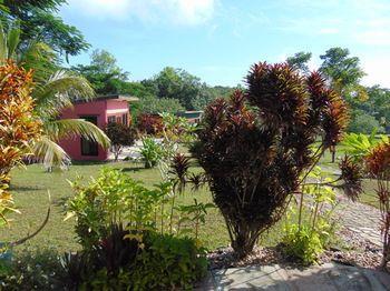 Hotel GumboLimbo Jungle Resort - Bild 2