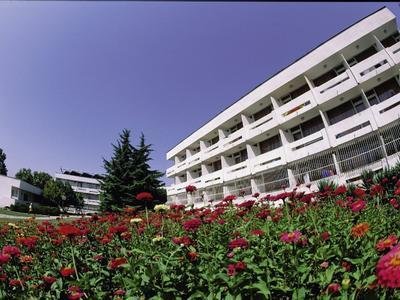 Hotel Panorama - Bild 4