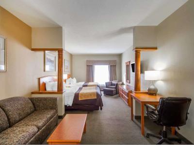 Hotel Quality Inn & Suites MidAmerica Industrial Park Area - Bild 5