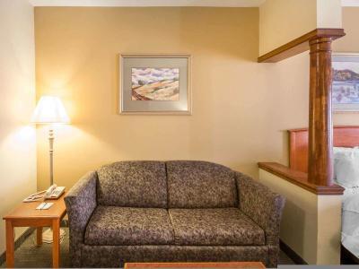 Hotel Quality Inn & Suites MidAmerica Industrial Park Area - Bild 4