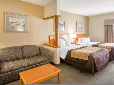 Hotel Quality Inn & Suites MidAmerica Industrial Park Area - Bild 2