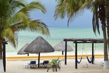 Hotel Reef Yucatán - Bild 2