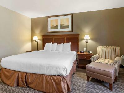 Hotel Country Inn & Suites by Radisson, Atlanta Downtown - Bild 5