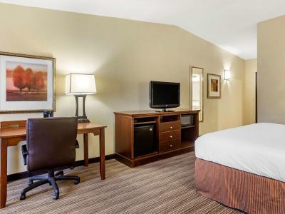 Hotel Country Inn & Suites by Radisson, Atlanta Downtown - Bild 3