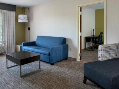 Hotel Holiday Inn Express & Suites Great Barrington - Lenox Area - Bild 4