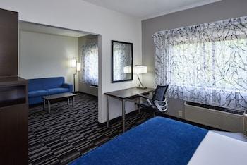 Hotel Holiday Inn Express & Suites Birmingham South - Pelham - Bild 4