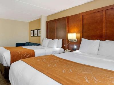 Hotel Comfort Suites Fernandina Beach at Amelia Island - Bild 2