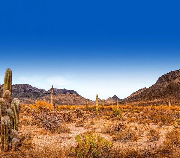 Hotels Arizona