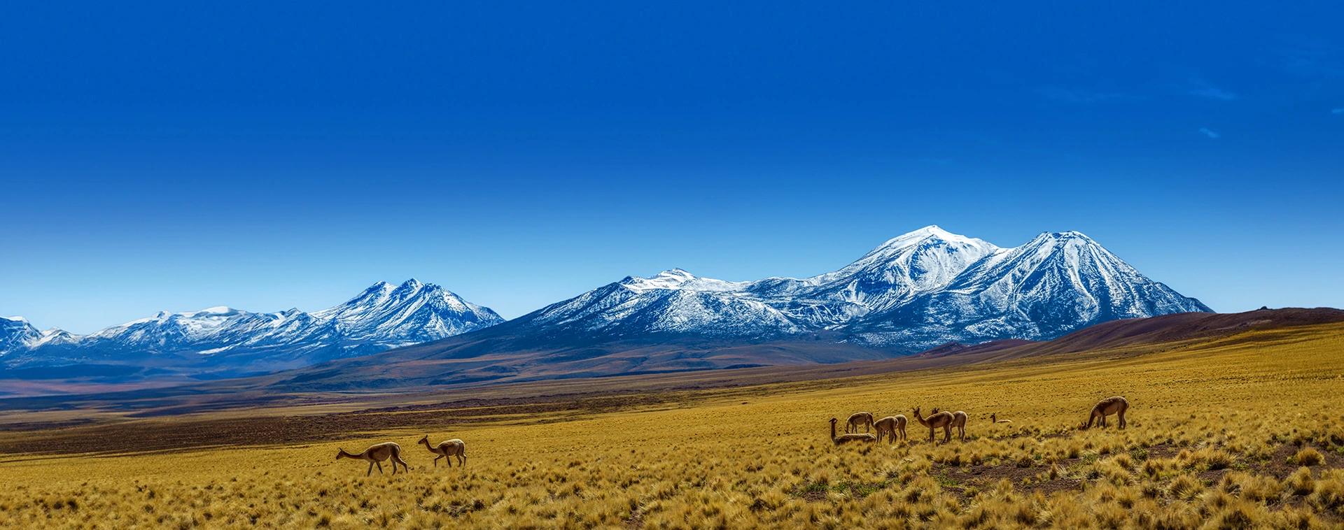 Hotels Chile