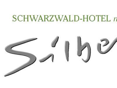 Ringhotel Schwarzwald Hotel Silberkönig - Bild 3