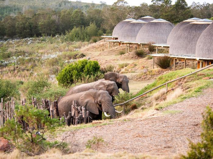 Hotel Gondwana Game Reserve - Bild 1