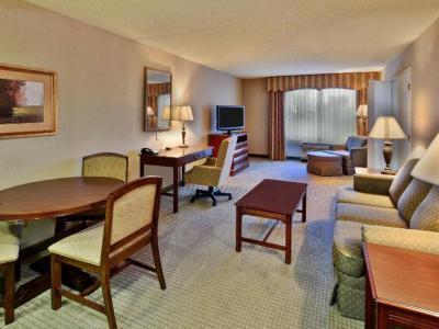 Holiday Inn Hotel & Suites Ann Arbor Univ. Michigan Area - Bild 5
