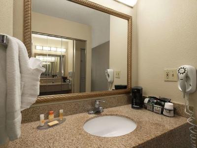 Hotel Days Inn & Suites Omaha - Bild 3