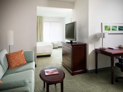 Hotel SpringHill Suites Charlotte University Research Park - Bild 3