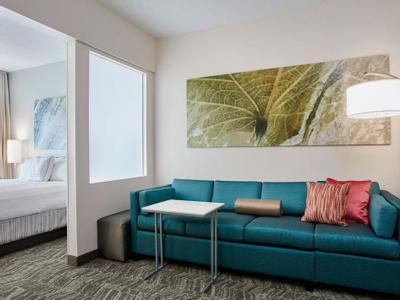 Hotel SpringHill Suites Chicago Schaumburg/Woodfield Mall - Bild 4