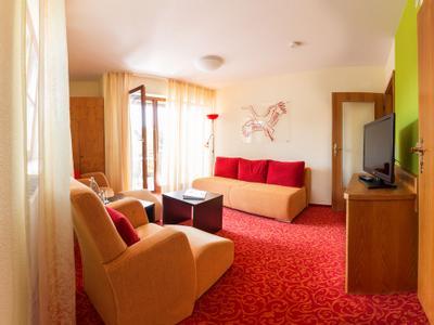Bodensee-Hotel Storchen SPA & Wellness - Bild 5