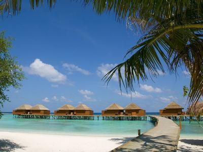 Hotel Veligandu Maldives Resort Island - Bild 5