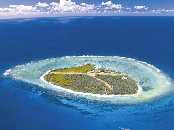 Lady Elliot Island Eco Resort - Bild 1