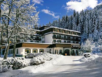 Alpenhotel Weitlanbrunn - Bild 5