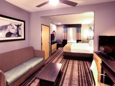 Holiday Inn Express Hotel & Suites Amarillo (West) - Bild 4