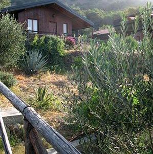 Hotel Agriturismo San Cataldo Farm Home - Bild 2