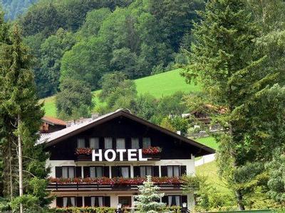 Hotel Alpen Sonne - Bild 3