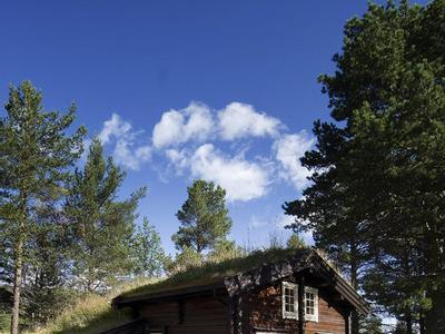 Bardøla Høyfjellshotell & Cottages - Bild 4