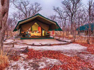 Hotel Hyena Pan Tented Camp - Bild 2