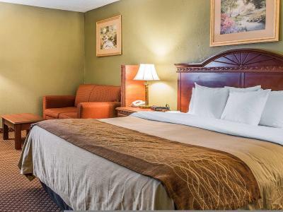 Hotel Quality Inn & Suites Ann Arbor Hwy 23 - Bild 5
