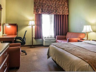 Hotel Quality Inn & Suites Ann Arbor Hwy 23 - Bild 4