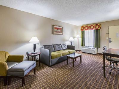 Hotel Quality Inn & Suites Greenville - Haywood Mall - Bild 3