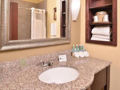 Hotel Holiday Inn Express & Suites San Antonio NW-Medical Area - Bild 4