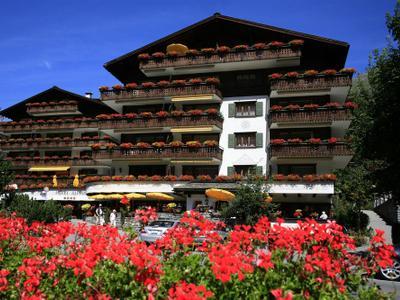 Hotel Alpina - Bild 2