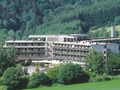 Michel & Friends Hotel Grafenau - Bild 2