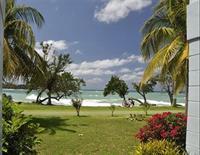 Hotel Carib Beach Apartments - Bild 5