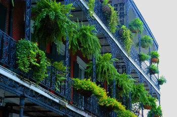 Loews New Orleans Hotel - Bild 2