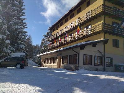Hotel Des Alpes - Bild 3