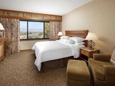 Hotel Sheraton Grand at Wild Horse Pass - Bild 5