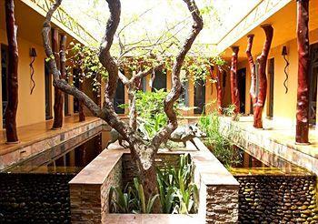 Hotel Thanda Safari Private Game Reserve - Bild 4
