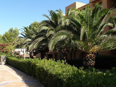 Hotel Insotel Club Tarida Playa - Bild 5