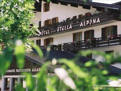 Hotel Stella Alpina - Bild 5