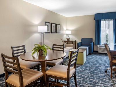 Hotel Comfort Inn & Suites Newark - Wilmington - Bild 5